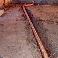 gallery_13_117