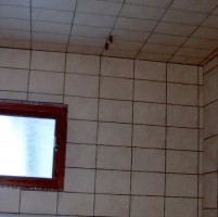 gallery_6_89